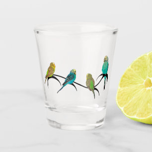 Budgie Frenzy Gift Glass