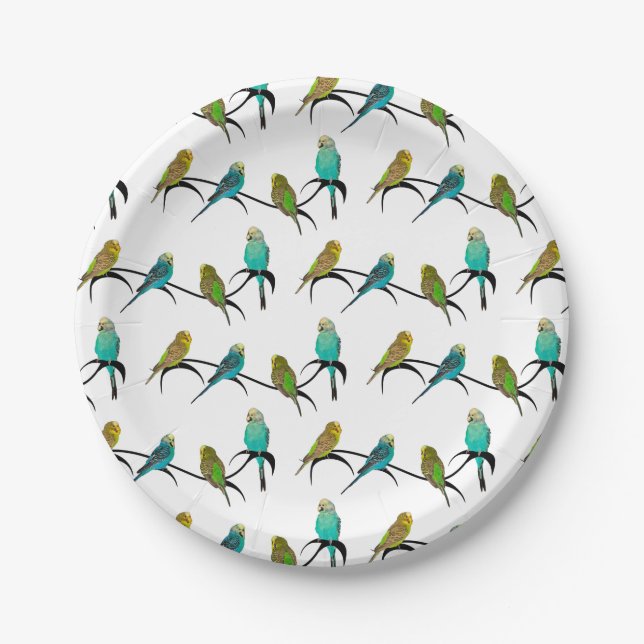 Budgie Frenzy Paper Plate (Front)