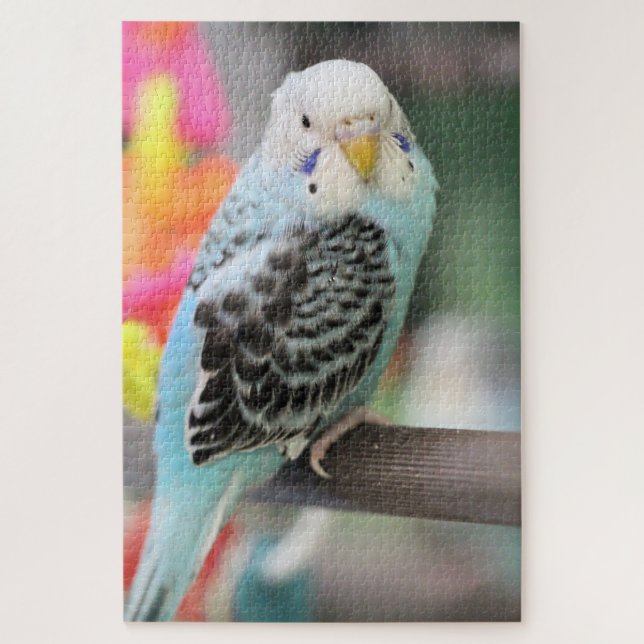 Budgie Jigsaw Puzzle (Vertical)