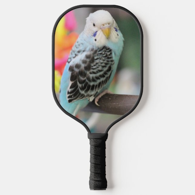 Budgie Pickleball Paddle (Front)