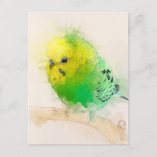 Budgie Portrait No.15 Postcard