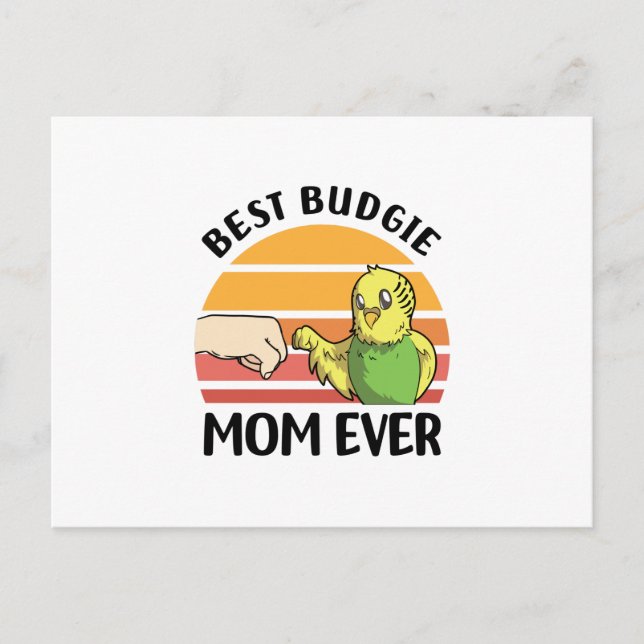 budgie postcard (Front)