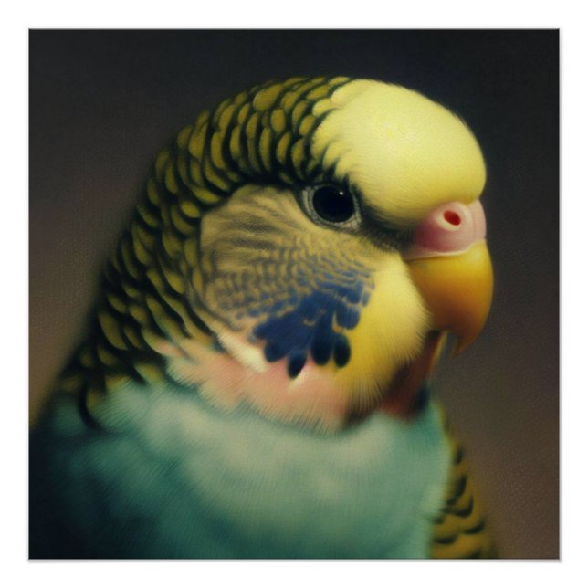 Budgie’s Serenity Poster (Front)