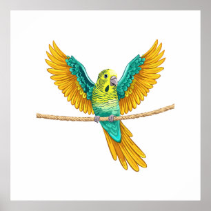 Budgie sitting on a rope with open wings poster