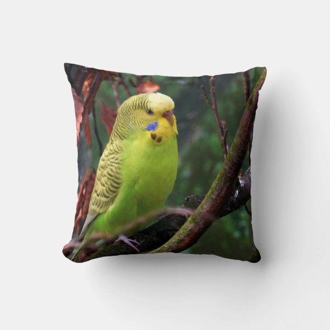 Budgie Throw Pillow (Front)