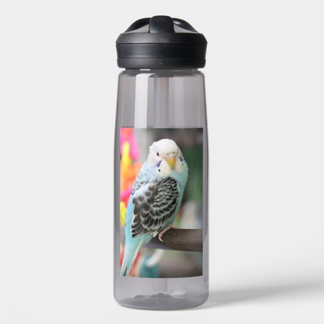 Budgie Water Bottle (Front)