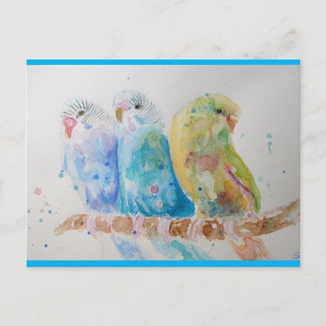 Budgie Watercolour Painting bird Budgies Aqua Teal Postcard (Front)