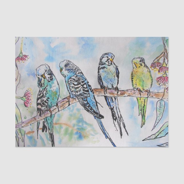 Budgie Watercolour Painting bird Budgies Aqua Teal Tissue Paper (Front)