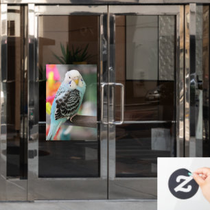 Budgie window cling