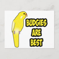 Budgies Are Best