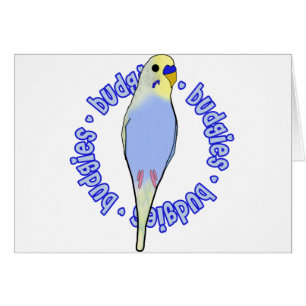 Budgies Budgies Budgies