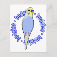 Budgies Budgies Budgies