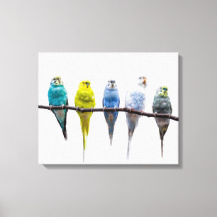 Budgies Canvas Print