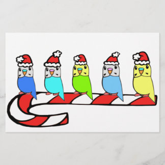 Budgies- Christmas