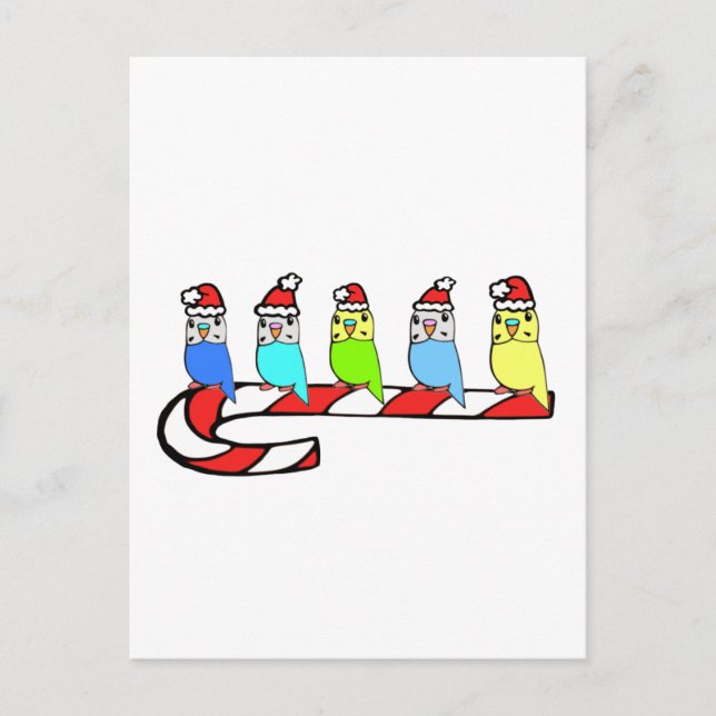 Budgies- Christmas Holiday Postcard (Front)