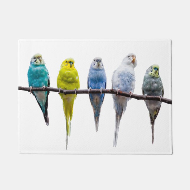 Budgies Doormat (Front)