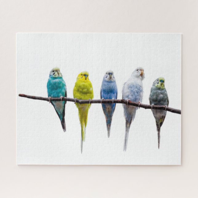 Budgies Jigsaw Puzzle (Horizontal)