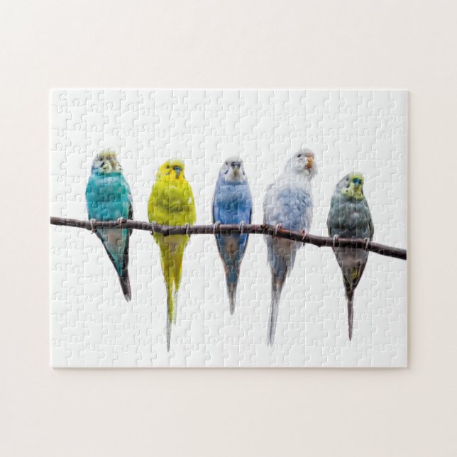 Budgies Jigsaw Puzzle (Horizontal)