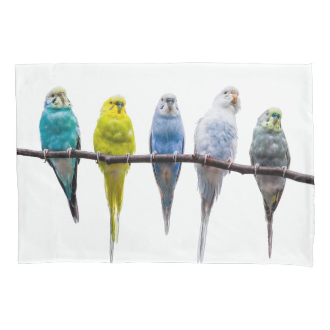 Budgies Pillowcase (Front)