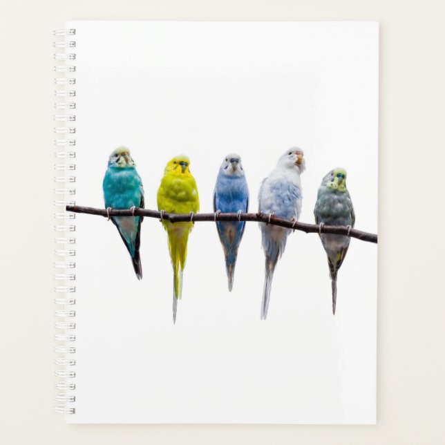 Budgies Planner (Front)