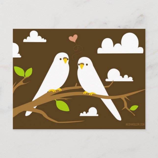Budgies Postcard (Front)