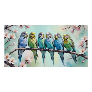 Budgies poster