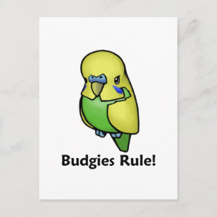 Budgies Rule! Postcard