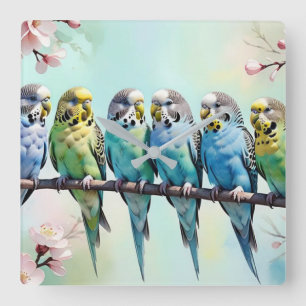 Budgies square wall clock