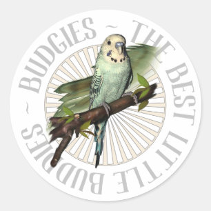 Budgies The Best Little Buddies Classic Round Sticker