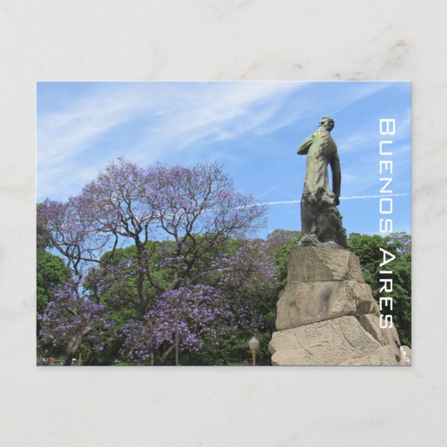 buenos aires jacaranda postcard (Front)