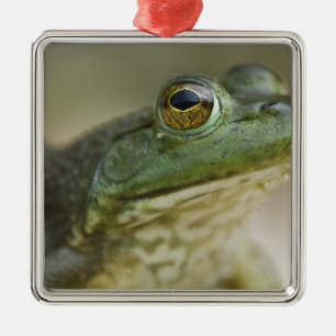 Bufallo National River, Northwest Arkansas Metal Ornament