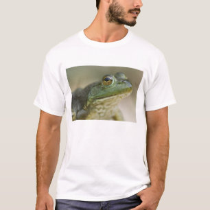 Bufallo National River, Northwest Arkansas T-Shirt
