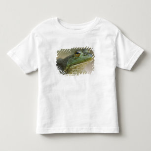 Bufallo National River, Northwest Arkansas Toddler T-shirt