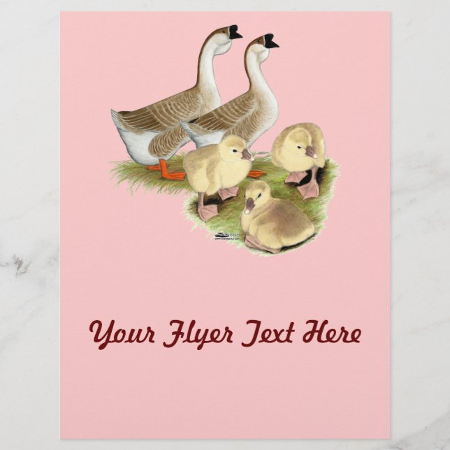 Buff African Goose Family Flyer (Front)