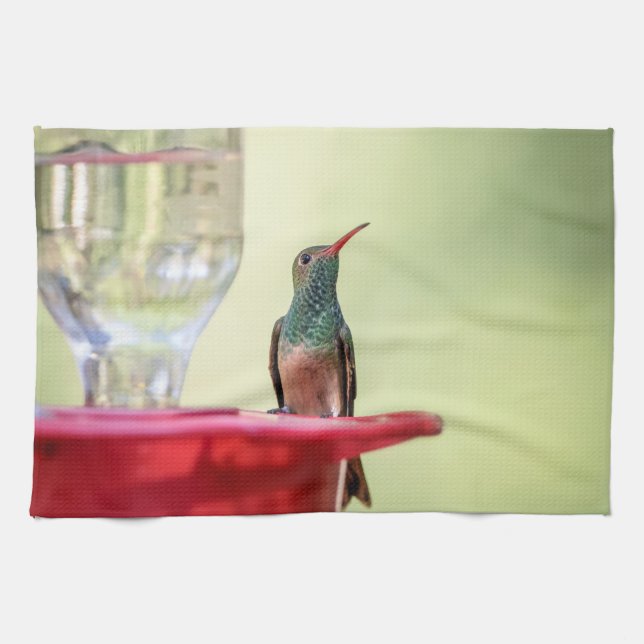 Buff-bellied hummingbird in Texas Kitchen Towel (Horizontal)