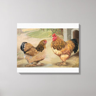 Buff Brahma Rooster and Hen Canvas Print