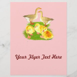 Buff Goose Family Flyer