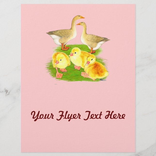 Buff Goose Family Flyer (Front)