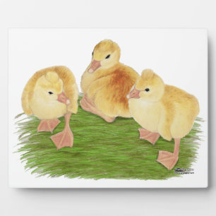 Buff Goslings Tufted Plaque
