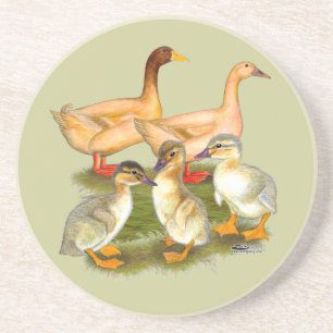 Buff Orpington Duck Family Coaster