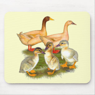 Buff Orpington Duck Family Mouse Pad