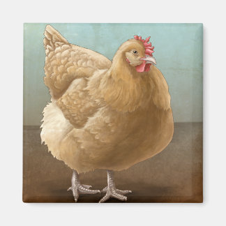 Buff Orpington Magnets