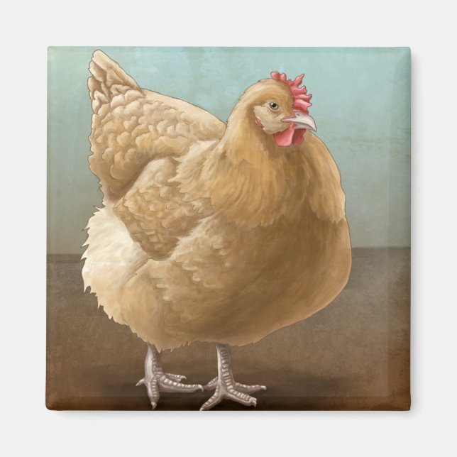 Buff Orpington Magnets (Front)