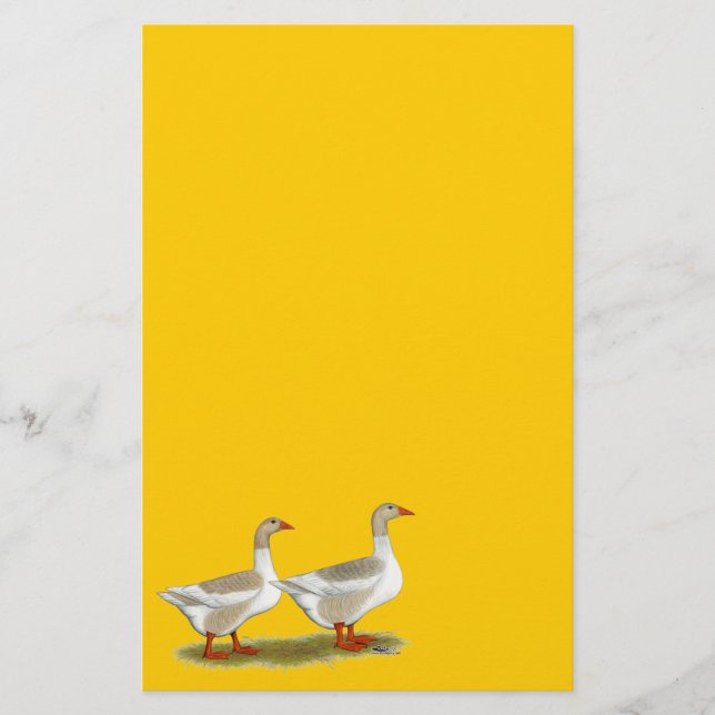 Buff Pomeranian Saddleback Geese (Front)