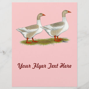 Buff Pomeranian Saddleback Geese Flyer