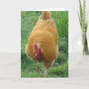 Buff Rooster Card