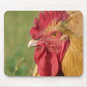 Buff Rooster Mouse Pad