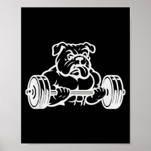 Buff Strong Bull Dog Lifting Weights  Poster