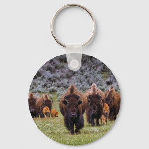 Buffalo 2 keychain