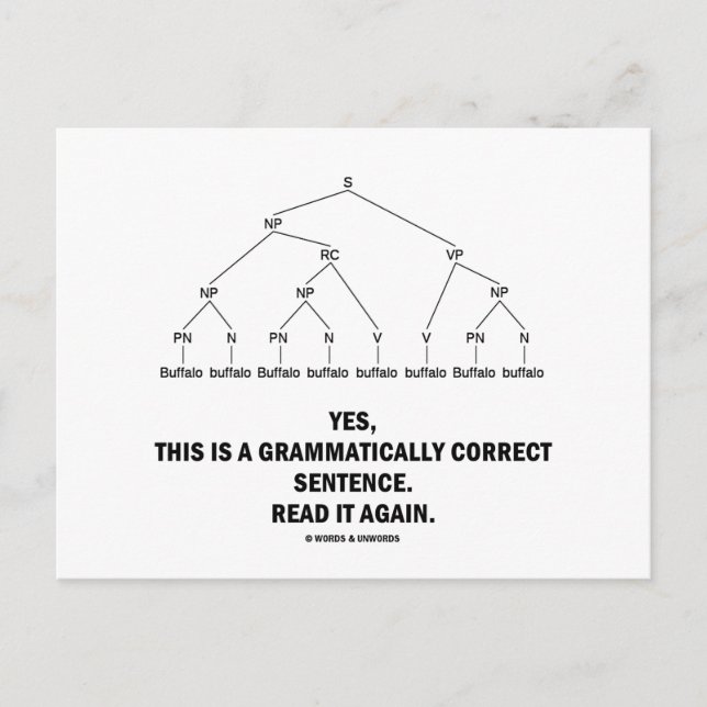 Buffalo (8 Times) Grammatically Correct Sentence Postcard (Front)